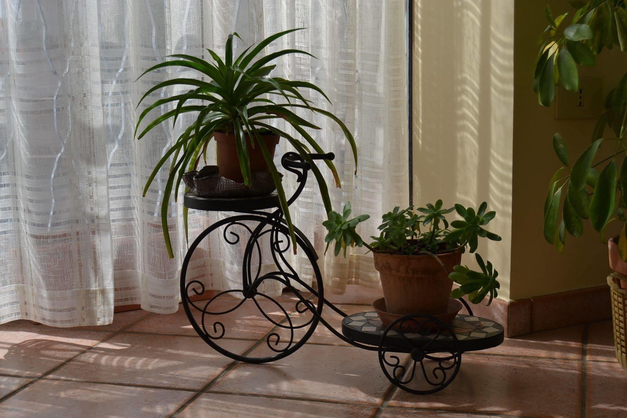 Sant'Agata Li Battiati Bed & Breakfast Marena المظهر الخارجي الصورة